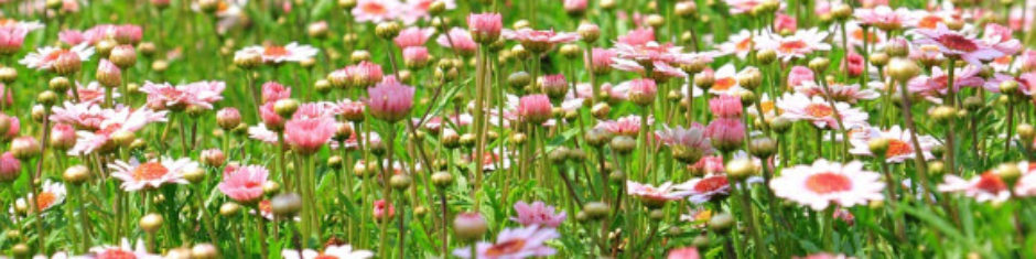 The Atrium on Parkgate Avenue